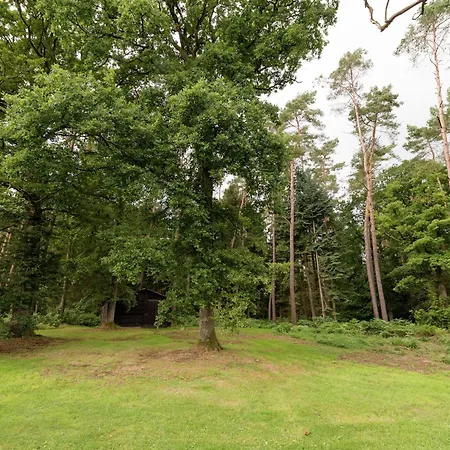 Tenneville With Sauna * Erneuville