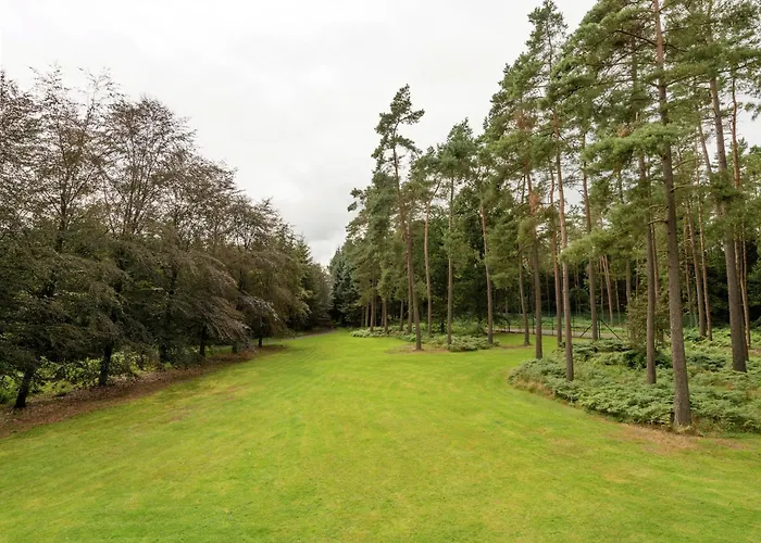 Villa Tenneville With Sauna