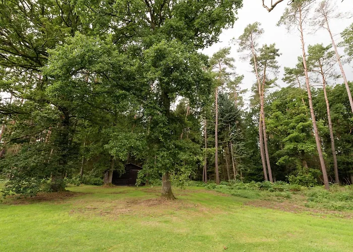 Tenneville With Sauna * Erneuville